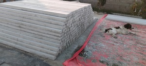 Boltari ,Spalieri vie,Dale amprentate