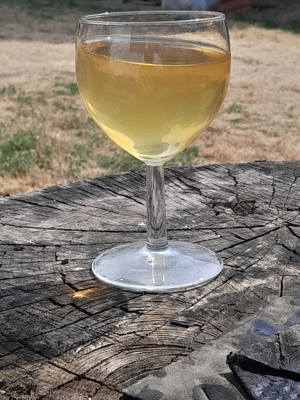 Vand vin de calitate superioara