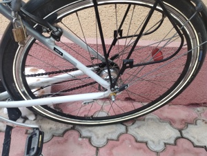 Bicicleta 28 made in Germania, 7 viteze Shimano Nexus in butuc - imagine 5