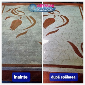Spalatorie profesionala covoare  - imagine 4