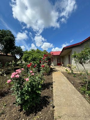 Casa de vanzare in Movila Banului , judetul Buzau - imagine 3