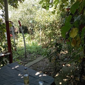 Vînd grădină cu construcție  - imagine 4