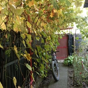 Vînd grădină cu construcție  - imagine 5