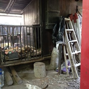 Vînd grădină cu construcție  - imagine 2