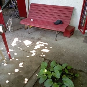 Vînd grădină cu construcție  - imagine 3