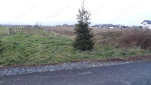 Mocira, vand teren 9 sau 18 ari, zona de case noi,strada Crinilor. - imagine 5