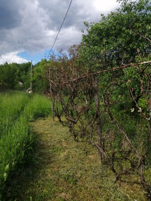 Casa de vânzare Provita de Jos Prahova  - imagine 6