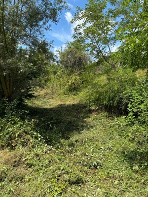 Teren intravilan de vânzare ( Pausesti-Maglasi) Rm Vâlcea  - imagine 4