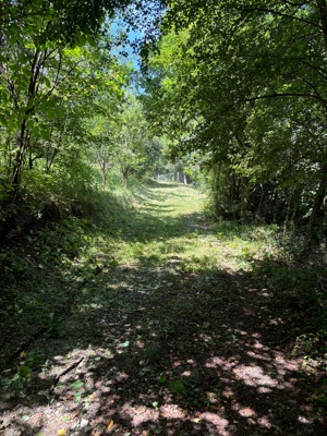 Teren intravilan de vânzare ( Pausesti-Maglasi) Rm Vâlcea  - imagine 6