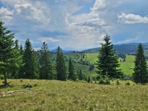 Proprietate de vanzare 92.554.mp ( 9.25 ha) in Bucovina zona Breaza  - imagine 5