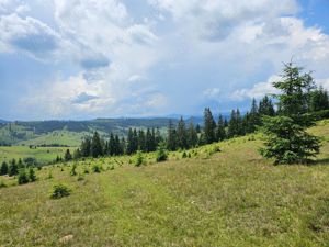 Proprietate de vanzare 92.554.mp ( 9.25 ha) in Bucovina zona Breaza  - imagine 4