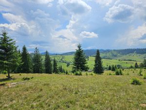 Proprietate de vanzare 92.554.mp ( 9.25 ha) in Bucovina zona Breaza  - imagine 6