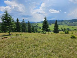 Proprietate de vanzare 92.554.mp ( 9.25 ha) in Bucovina zona Breaza  - imagine 3