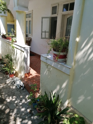 De vanzare - imagine 7