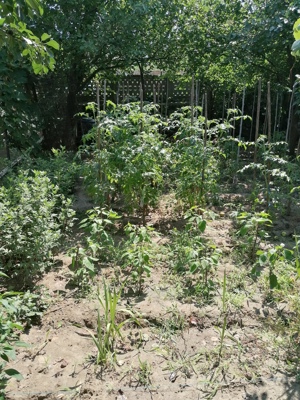 De vanzare - imagine 4