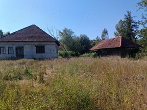 Casa de vânzare în Vața de Jos sat Basarabasa  - imagine 6