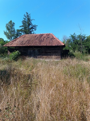 Casa de vânzare în Vața de Jos sat Basarabasa  - imagine 2