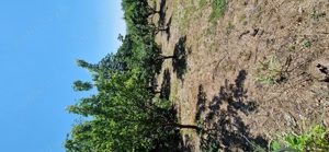 Vand schimb teren intravilan Garadistea - imagine 3