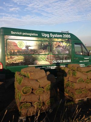 Defisari  x toaletare copacii    x tocator crengi x ridicarea resturilor vegetale 25 ani experienta  - imagine 9