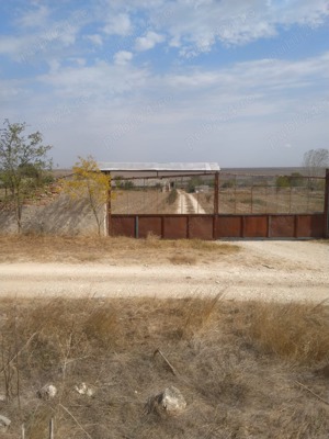 Vând FERMA cu teren 4 hectare  Plopeni  Constanta