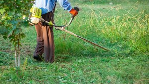 Întreținere spații verzi  - imagine 4