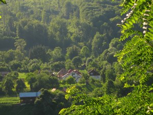 Vand casa si teren in Valea Doftanei Judetul Prahova - imagine 8