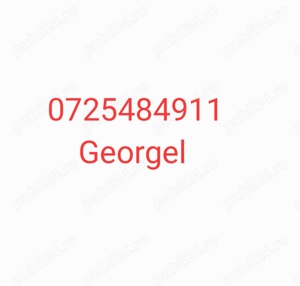 Vand porci pentru sacrificat - imagine 4