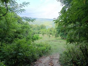 Teren 10.000 mp in Sotrile , punct "Cheia" 4 km de Barajul Paltinu  - imagine 4