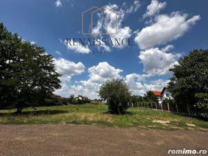 Dumbravita Teren Intravilan 1466mp Front 29m | Langa Padure - imagine 2