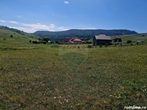 Teren 5,000mp Piatra-Neamt / Strada Punct Petruca - imagine 7