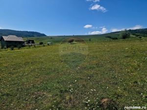 Teren 5,000mp Piatra-Neamt / Strada Punct Petruca - imagine 9