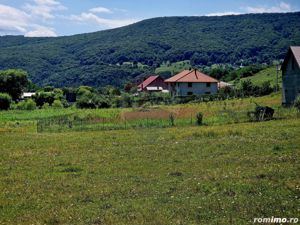 Teren 5,000mp Piatra-Neamt / Strada Punct Petruca - imagine 5