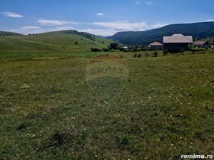 Teren 5,000mp Piatra-Neamt / Strada Punct Petruca - imagine 10