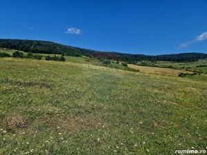 Teren 5,000mp Piatra-Neamt / Strada Punct Petruca - imagine 12