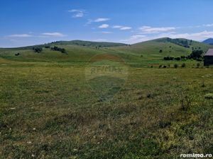 Teren 5,000mp Piatra-Neamt / Strada Punct Petruca - imagine 18