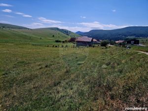 Teren 5,000mp Piatra-Neamt / Strada Punct Petruca - imagine 14