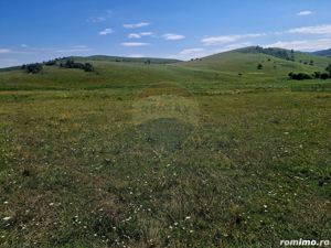 Teren 5,000mp Piatra-Neamt / Strada Punct Petruca - imagine 16