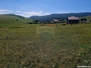 Teren 5,000mp Piatra-Neamt / Strada Punct Petruca - imagine 19