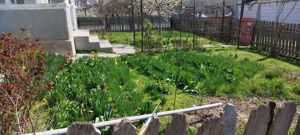 Teren intravilan Corbu. Deschidere la două străzi  - imagine 6