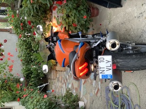 Suzuki sv1000S - imagine 2