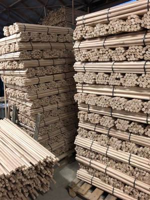 vand cherestea fag, castan uscata in uscator - imagine 3