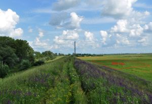 Schimb teren intravilan Arad 300 mp cu Orsova - imagine 3