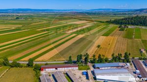 Teren/ Plantatie cu Trandafiri de Damasc 7,000mp Teliu - Brasov! - imagine 13