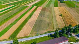 Teren/ Plantatie cu Trandafiri de Damasc 7,000mp Teliu - Brasov! - imagine 12