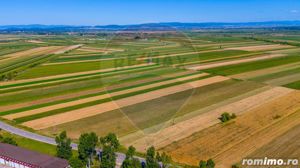 Teren/ Plantatie cu Trandafiri de Damasc 7,000mp Teliu - Brasov! - imagine 3