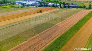 Teren/ Plantatie cu Trandafiri de Damasc 7,000mp Teliu - Brasov! - imagine 10