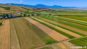 Teren/ Plantatie cu Trandafiri de Damasc 7,000mp Teliu - Brasov! - imagine 15