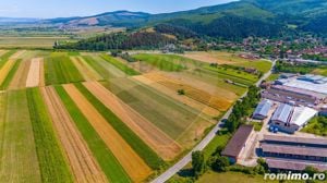 Teren/ Plantatie cu Trandafiri de Damasc 7,000mp Teliu - Brasov! - imagine 14