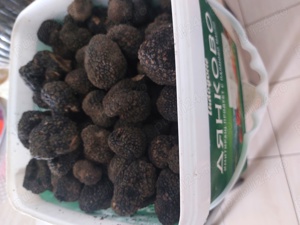 Trufe proaspete fresh parfumate 