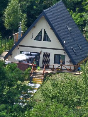 Vand Casa la Munte A-Frame, mare oportunitate, teren mare, 5 camere în Breaza - imagine 2